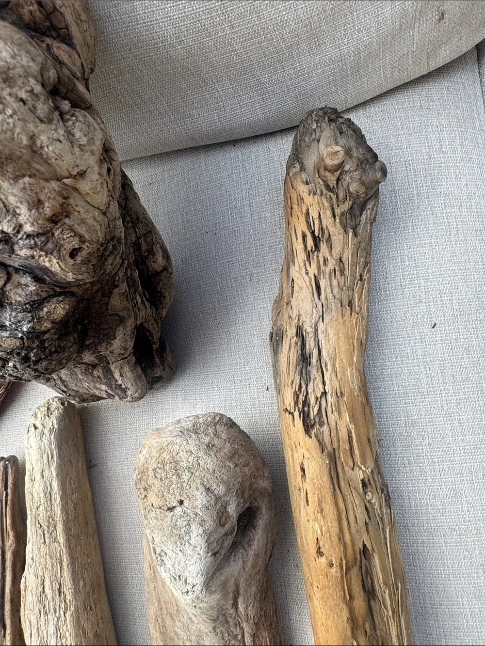 11 pc (5lbs shipped) Natural Driftwood Decorative Accent Pieces-craft & display